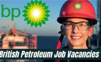 BP Petroleum Job Openings 2024